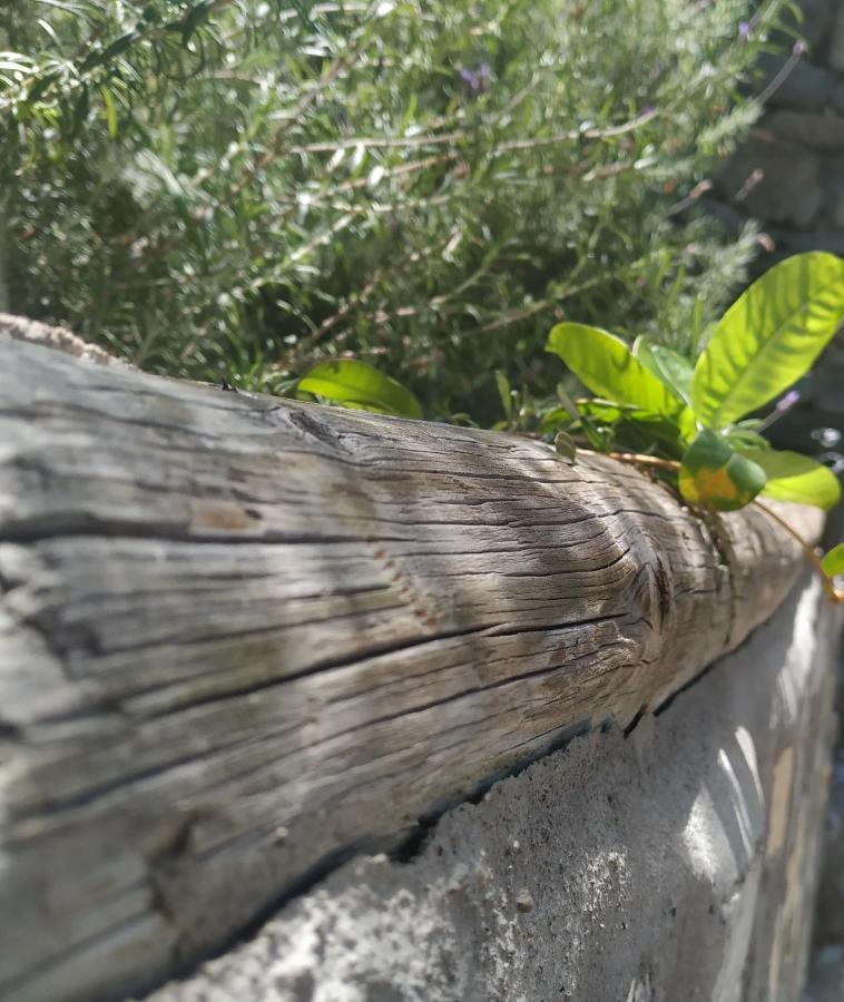 Finca La Ladera Valle Gran Rey Eksteriør bilde