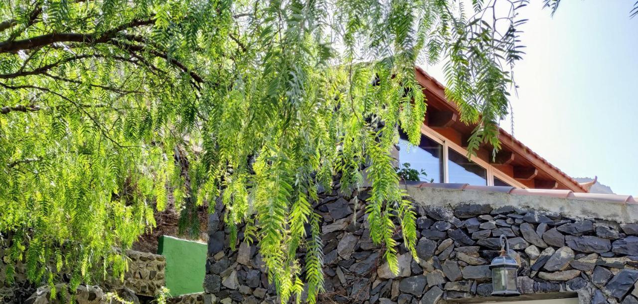 Finca La Ladera Valle Gran Rey Eksteriør bilde